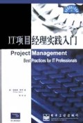 IT项目经理实践入门/项目管理核心资源库