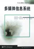 多媒体信息系统/信息系统工程丛书