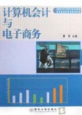 计算机会计与电子商务/高职高专电子商务专业系列教材