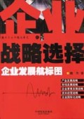企业战略选择(企业发展航标图)