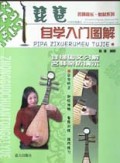 琵琶自学入门图解