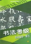 书法考级应试指导(楷书)/全国书画等级考核辅导丛书