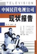 中国民营电视公司现状报告 
