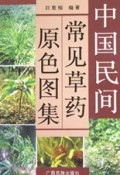 中国民间常见草药原色图集
