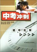 初中化学专题复习/名校方略中考冲刺丛书
