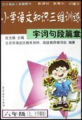 小学语文知识三维训练(字词句段篇章6年级上下学期用配合最新人教版教材)