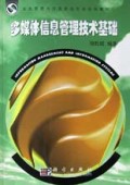 多媒体信息管理技术基础/信息管理与信息系统专业规划教材