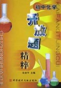 开放题精粹  初中化学