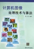 计算机图像处理技术与算法