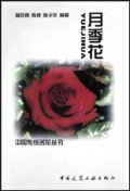 月季花/中国传统名花丛书