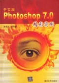 中文版Photoshop7.0精彩实例