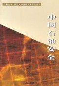 中国石油安全/云南大学复旦大学国际关系研究丛书