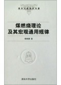 煤燃烧理论及其宏观通用规律(精)/清华大学学术专著