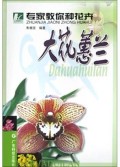 大花蕙兰/专家教你种花卉