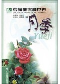 月季/专家教你种花卉
