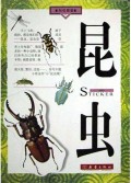 昆虫(贴纸图鉴)