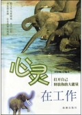 心灵在工作(打开自己释放你的大能量)