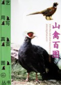 山禽百图/艺用写真百图丛书
