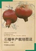 石榴丰产栽培图说