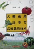 大棚蔬菜反季节高效栽培技术