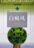 白癜风/名医谈百病