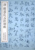 唐褚遂良孟法师碑/历代名帖自学选本