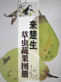 来楚生草虫蔬果图册
