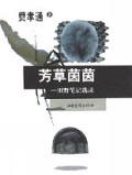 芳草茵茵(田野笔记选录)
