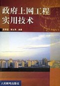 政府上网工程实用技术