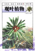 观叶植物/家庭花卉精品丛书