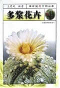 多浆花卉/家庭花卉精品