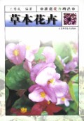 草本花卉/家庭花卉精品