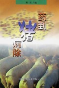药到猪病除