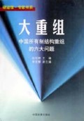 大重组(中国所有制结构重组的六大问题)