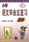 小学语文毕业总复习题解/小博士丛书
