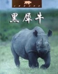 黑犀牛(未驯服的世界)
