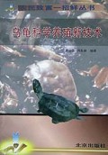 乌龟科学养殖新技术/农民致富一招鲜丛书