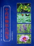 中药植物原色图鉴(精)