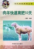 肉羊快速育肥50天/九亿农民致富丛书