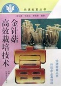 金针菇高效栽培技术
