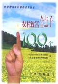 农村致富金点子100个