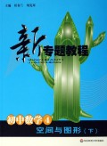 初中数学(4空间与图形下)/新专题教程