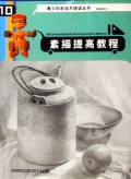 素描提高教程/青少年宫美术培训丛书