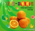 水果(转图记物故事积木中英文双语)/我的第一本转转书
