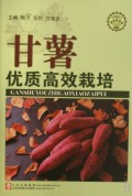 甘薯优质高效栽培/社会主义新农村建设文库