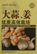 大蒜姜优质高效栽培/社会主义新农村建设文库