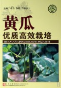 黄瓜优质高效栽培/社会主义新农村建设文库