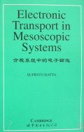 介观量子输运理论洞察研究