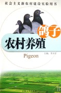 农村养殖：鸽子
