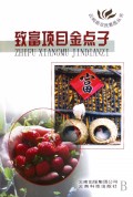 致富项目金点子/云岭新农民素质丛书